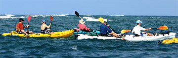 kayak